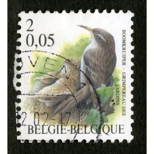 Timbre Oblitéré België - Belgique, Grimpereau Des Jardins, 2, 0.05