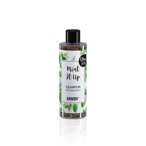 Shampooing Gommant Mint It Up 200ml 