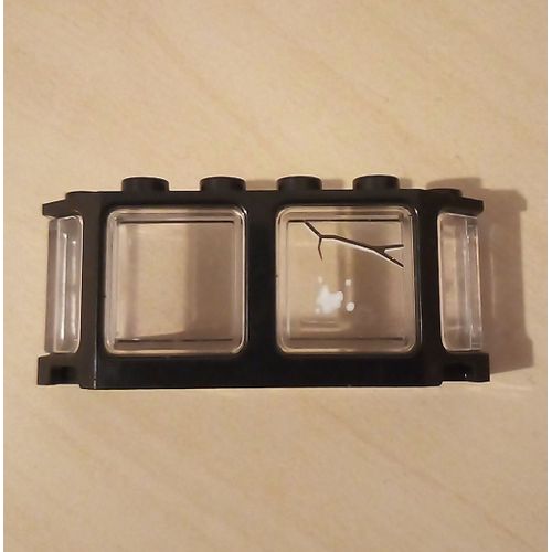 LEGO Black Window 2x6x2 Train référence 17454 + Clear Glass 17457 set 75930 70424