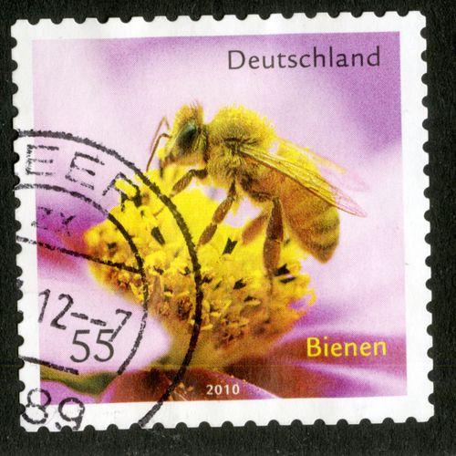 Timbre Oblitéré Deutschland, Bienen, 2010, 55