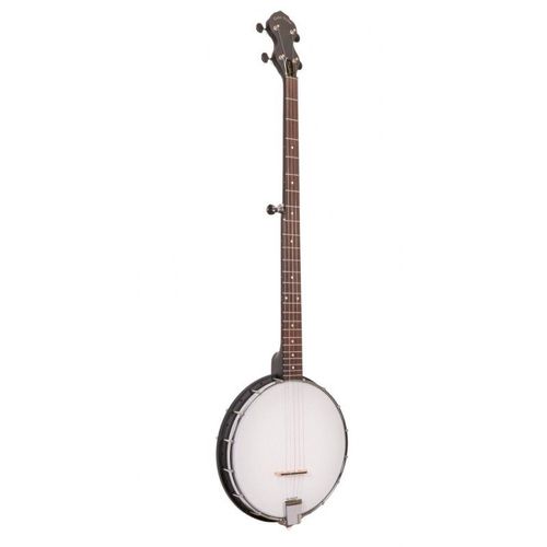 Goldtone Ac-1ln - Banjo 5 Cordes Open Back À Manche Long (+ Housse)