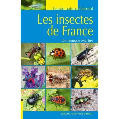 Les Insectes De France