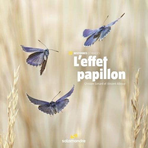 L'effet Papillon