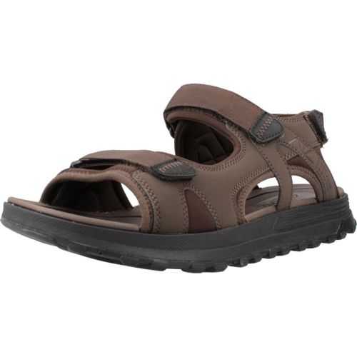 Clarks Atl Trek Sun Colour Marron
