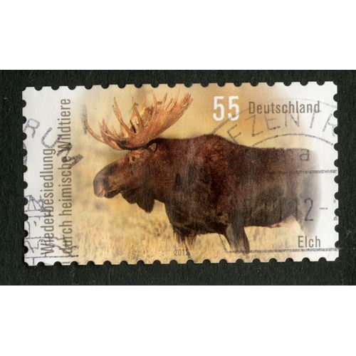 Timbre Oblitéré Deutschland, Elch, Wiederbesiedlung Durch Heimische Wildtiere, 2012, 55