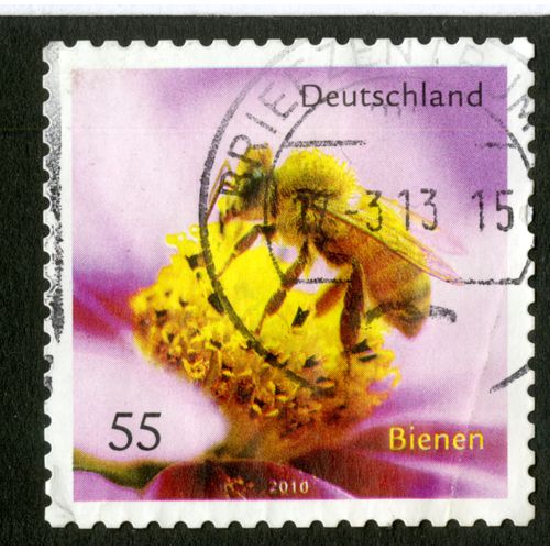 Timbre Oblitéré Deutschland, Bienen, 2010, 55