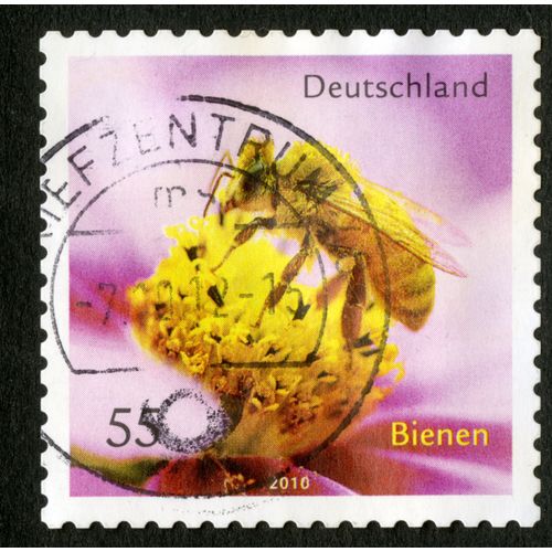 Timbre Oblitéré Deutschland, Bienen, 2010, 55