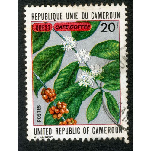 Timbre Oblitéré République Unie Du Cameroun, Ouest, Café, Coffee, Postes, 20 F