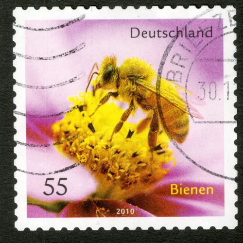 Timbre Oblitéré Deutschland, Bienen, 2010, 55
