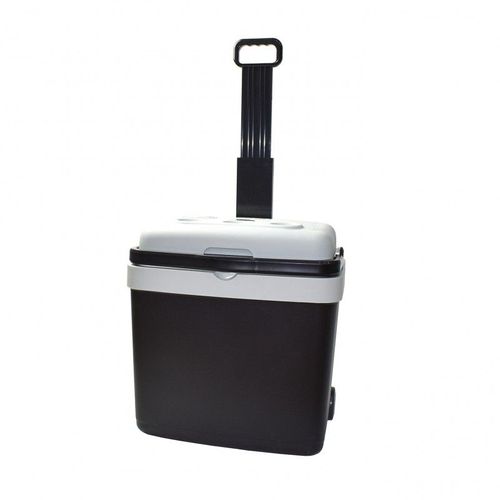 Glacière trolley chaud/froid biénergies 33L Rakuten