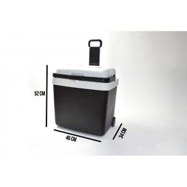 Glacière trolley chaud/froid biénergies 33L Rakuten