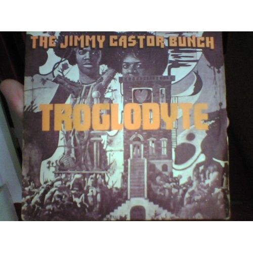 Troglodyte
