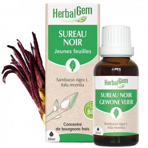 Herbalgem Sureau Noir Bio 