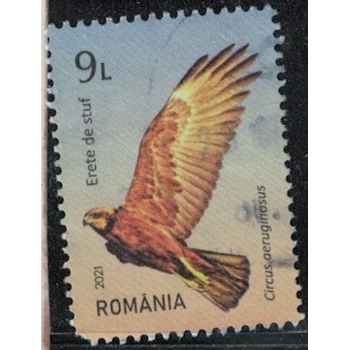 Roumanie 2021 Oblitéré Used Oiseau Rapace Circus Aeruginosus Busard Des Roseaux Y&t Ro 6678 Su