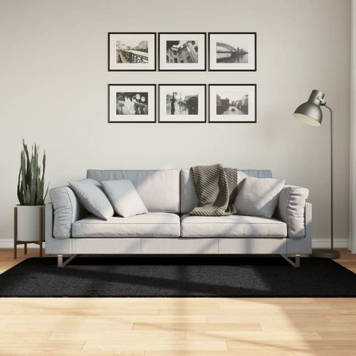 Vidaxl Tapis Shaggy Pamplona Poils Longs Moderne Noir 100x200 Cm