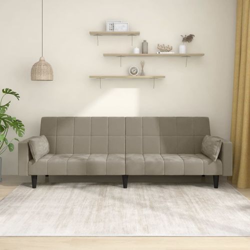 Vidaxl Canapé-Lit À 2 Places Avec Deux Oreillers Gris Clair Velours