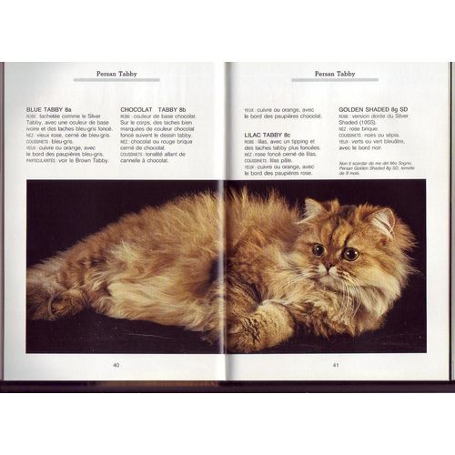 caleçon picture moumoute