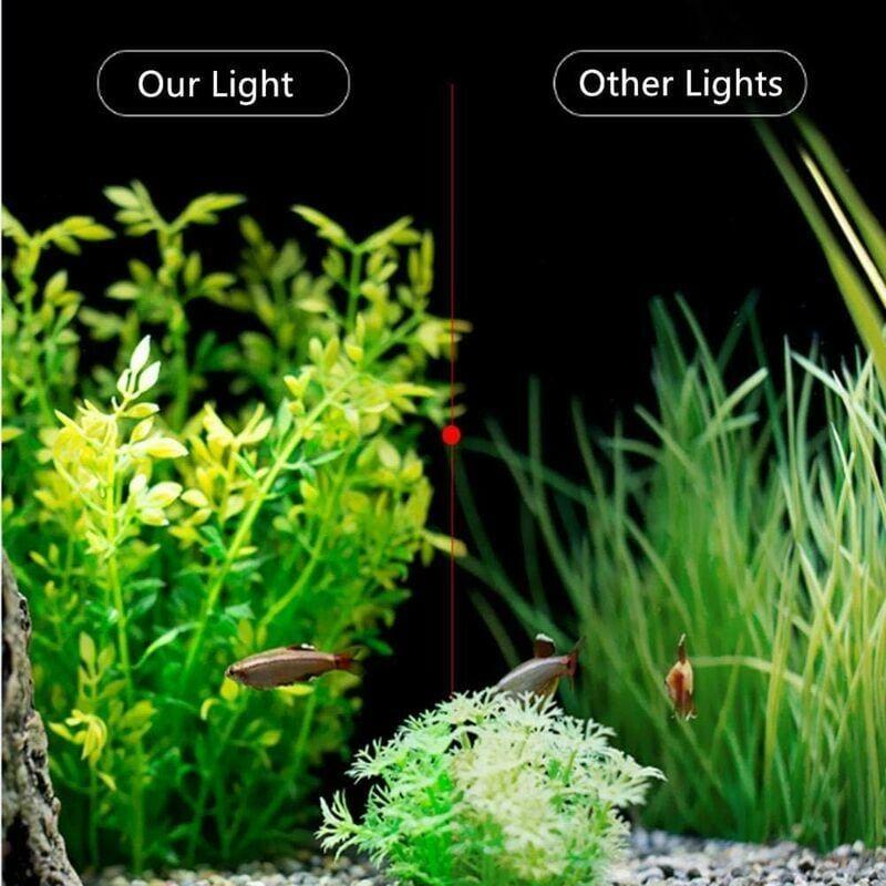 Lumiere Aquarium Lampe Led Eclairage Blanc Et Bleu Nano  C... - 2