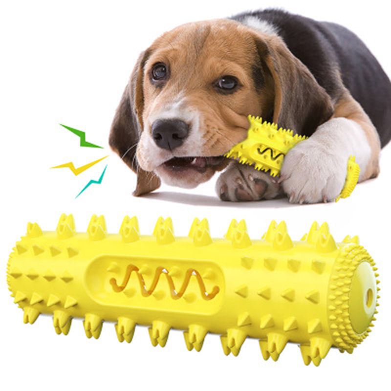 Chien  Mcher Brosse  Dents Dents Nettoyage Jouet Chien De... - 3