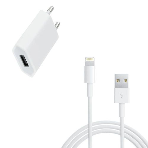 Kit De Chargement Usb, Alimentation Murale Et Câble Usb Vers Lightning Pour Tous Les Appareils Avec Entrée Lightning
