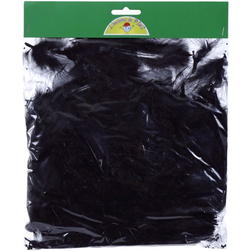 Pw International 80 Plumes Noir 25g