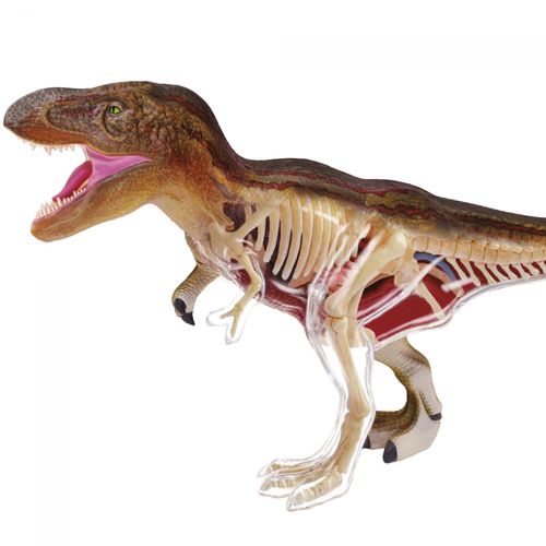 Permanent Mixte Bte/Explora Paleontologie T Rex  27