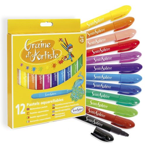Laboratoires Créatifs Pochette - 12 Pastels Aquarellables