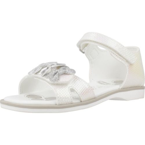 Chicco Ciana Colour Blanc