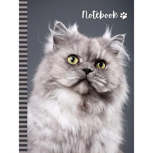 Notebook: Large Hardcover 8.5x11 Composition Journal / 100 Sheets / College Ruled Diary - Blank Numbered Pages / Gray Persian Cat Art Photo / Note Taking Gift For Home-School - Work - Writing