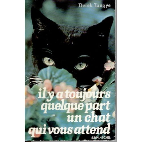 Il Y A Toujours Quelque Part Un Chat Qui Vous Attend