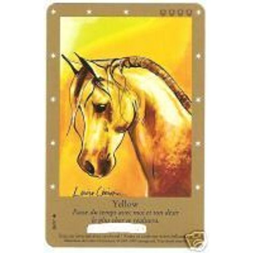 Carte Bella Sara Yellow