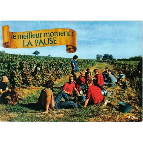Carte Postale, France, Vin, Vignes, Vigneron, Ceps - Oblitération Du 19/08/1983