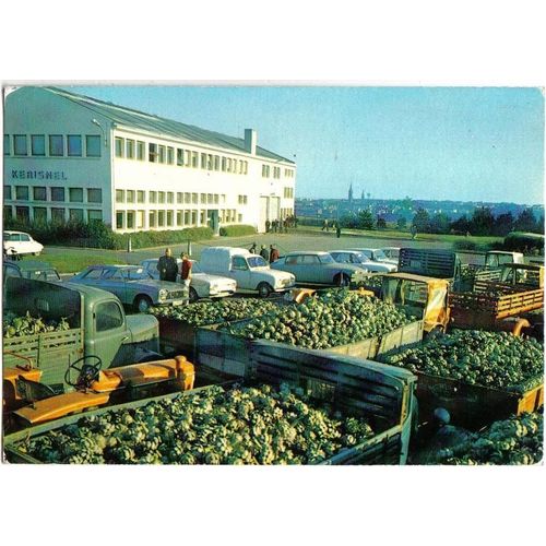 Carte Postale, France, Bretagne, Finistère, Saint Pol De Léon, La S.I.C.A., Camions D'artichauts - Oblitération Du 17/08/1973