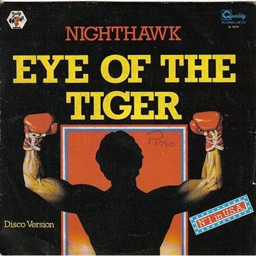 Eye Of The Tiger -  Disco Version