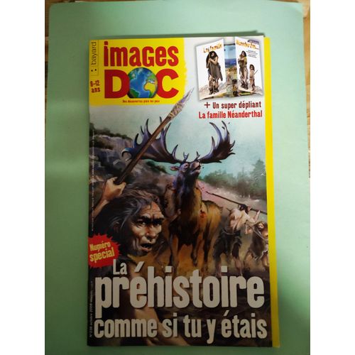 Images Doc - 8/12 Ans - Numéro 238 -- Numéro Spécial " La Préhistoire Comme Si Tu Y Étais " - Octobre 2008 - Revue Documentaire Pour La Jeunesse - Voir Mes Scans Pour La Présentation Et Le Sommaire