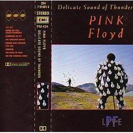 Pink Floyd - Delicate sound of thunder (live/double cassette)