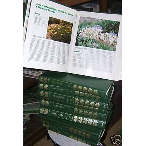 Alpha Flore - N° 12 - Alpha Flore