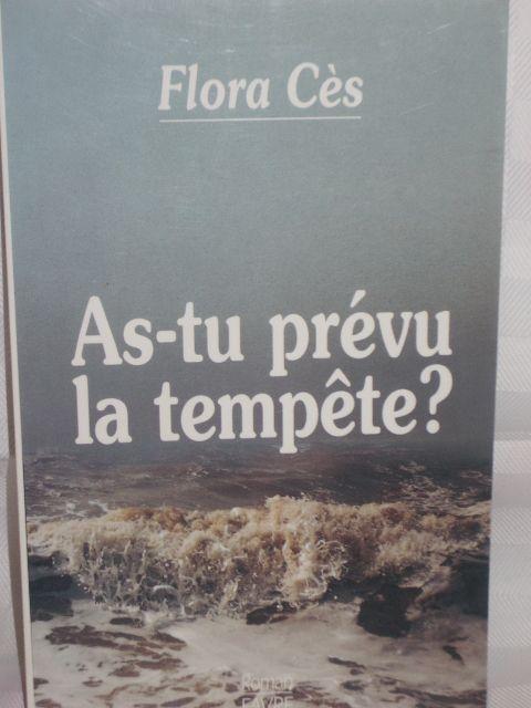 As-tu prévu la tempête ?