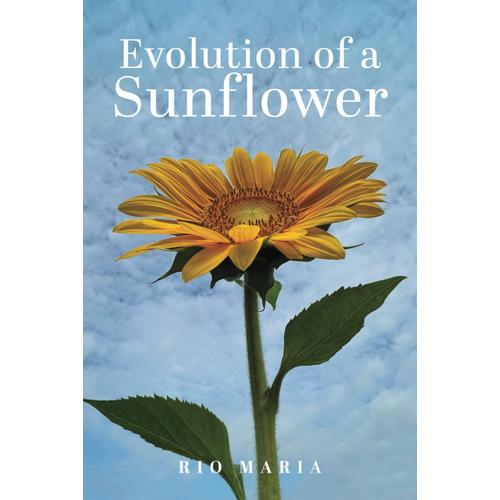 Evolution Of A Sunflower: A Wild And Transformative Adventure Of Personal Growth, Healing, And Finding Forgiveness.