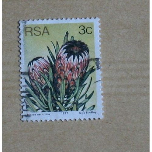Timbre  Oblitéré Rsa, Afrique Du Sud