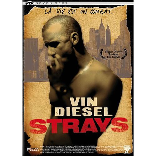 Strays - Edition Locative