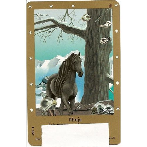 Carte Bella Sara Ninja