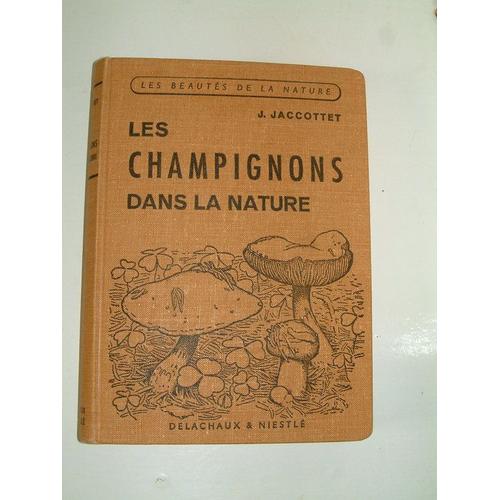 Les Champignons Dans La Nature