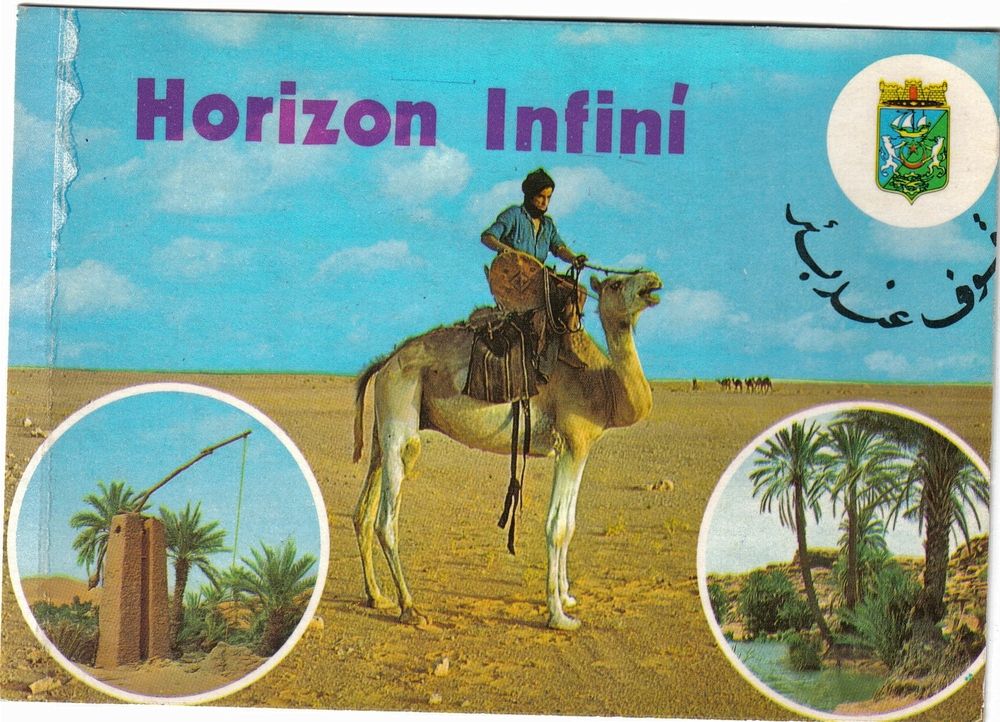 Carte Postale Algerie En Plein Desert Sur Un Dromadaire Rakuten