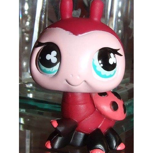 Petshop 629 - Coccinelle