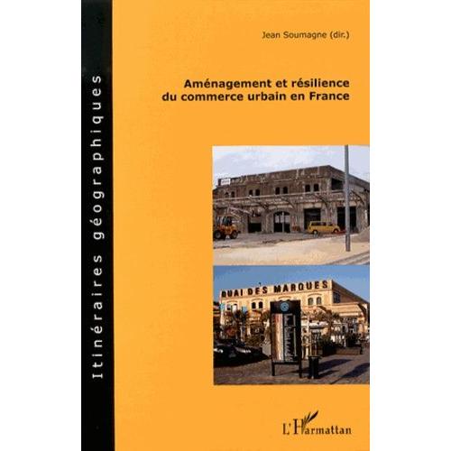 Aménagement Et Résilience Du Commerce Urbain En France