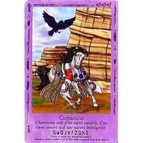 Carte Bella Sara Comanche 8/65