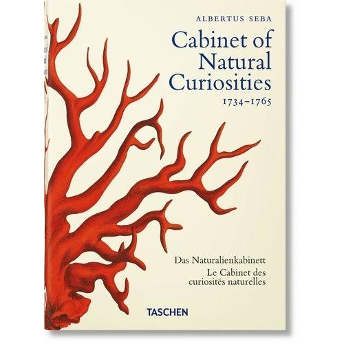 Cabinet Of Natural Curiosities - 1734-1765