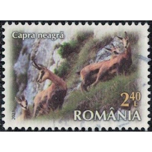 Roumanie 2023 Oblitéré Used Animal Rupicapra Rupicapra Chamois Y&t Ro 7057 Su