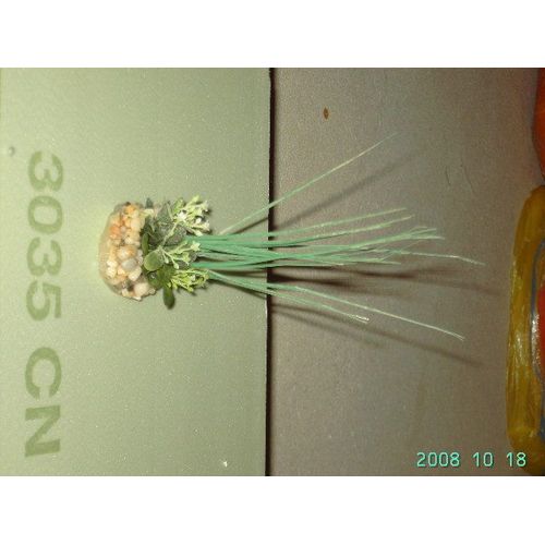 Plante D'aquarium Avec Socle